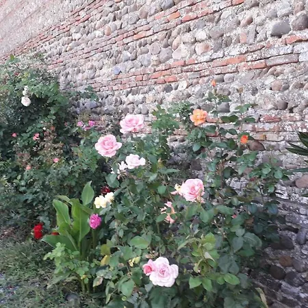 La Metairie Oda ve Kahvaltı